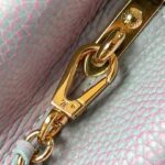 CAPUCINES LEATHER HANDBAG